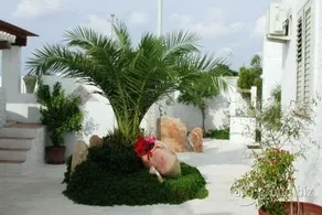 Hotel Macondo - Image 2