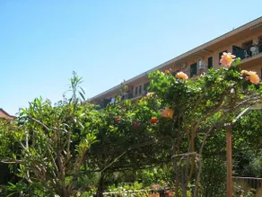 Terrazza Mimosa - Image 4