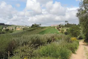 Casas Fruta holiday home - Image 5