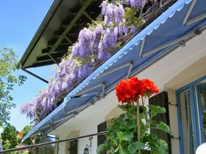 Hotel Haus-Georg - Image 2