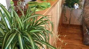 Casa Gizell - Image 3