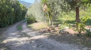 Casa Novella Bilo - Image 4
