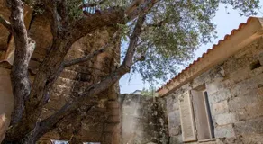 Cava Degli Ulivi - Image 2