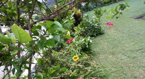 SaltAire Bungalow Rose Hall 10 Mins Hike to Beach - Image 3