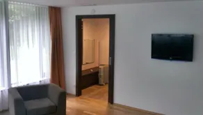 Rimske terme - Apartment Villa Sisi - Image 5