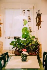 B&B Al Ferdinandeo - Image 3