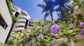 Apartamento Puerto Banus - Image 2
