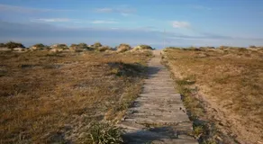 AD1000 Malybu Beach Oliva Nova - Image 5