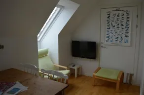 Bed And Birds - Image 3