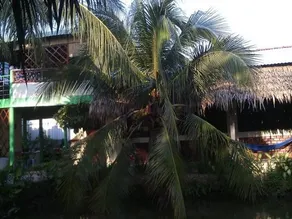 Hong Thai Homestay - Image 5