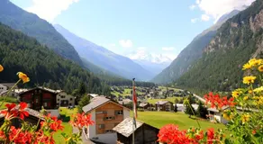 Haus Royal - Image 3
