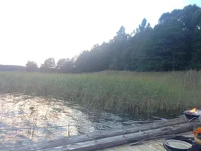 Beaver house - Image 4