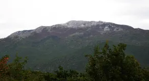 Malena - Image 3