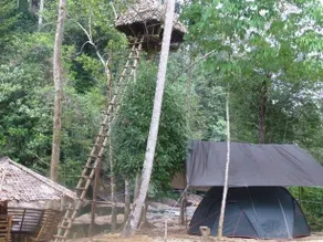Sinharaja Adventure Resort - Image 2