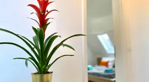 BRIGHT - XXL-Apartment - 10 Guests - 2 Apartments - 2 Kitchen - 2 Parking - Image 4