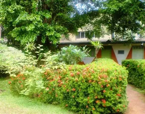 Green Garden Guest House - Image 5