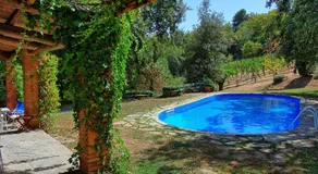 Villa Ulivacci - Image 3