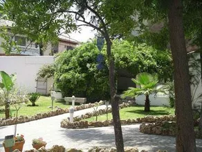 Acacias - Image 3