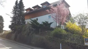 Mayerhofer House - Image 2