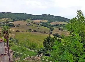 B&B Il Colle - Image 5