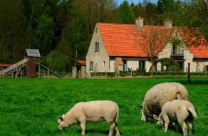 B&B Heerlijkhyd - Image 2