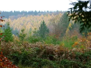 Cor-Unum Bed & Breakfast - Image 5