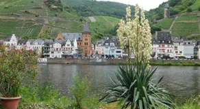Fewo Winzerstrasse - Image 4