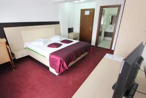 Pensiunea Valea Cocorei - Image 3