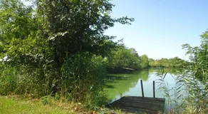 Club Haus am See - Image 5