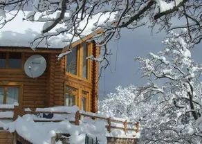 The Green Pine Chalet - Image 3