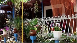 Smile Bungalow - Image 4
