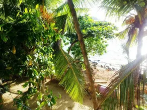 Maya Guest House - Image 4