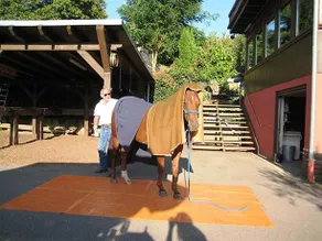 Longhorn Ranch - Image 4
