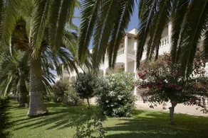 Ferrer Lime Isabel - Image 5