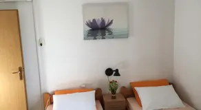 Kami - Image 3