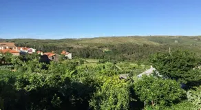 Casa Dos Pisoeiros Montemuro/Douro - Image 3