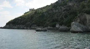 "Il nespolo" - Image 5