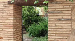 El Mirador - Image 2
