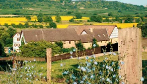 Eulenmühle - Image 4
