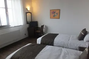 Forest House - Image 4