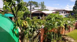 Bamboo Garden - Image 5