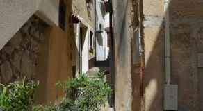 Studio Nikola - Image 4