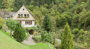 Comfy Apartment in Oppenau near Black Forest National Park - Image 5
