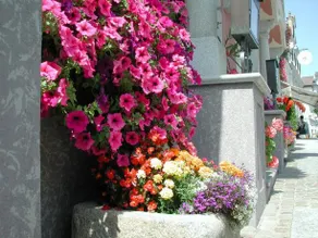 Hotel Sammer - Image 2