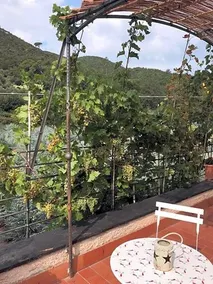 La Casa di Giobatta - Image 3
