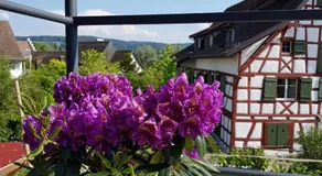 Garni Hotel Muhletal - Image 4