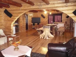 Cabana Vultur - Image 5