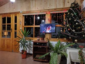 Villa Rado - Image 3