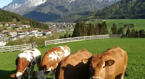Bommerhof - Image 3