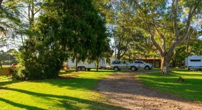 Dorrigo Mountain Holiday Park - Image 3
